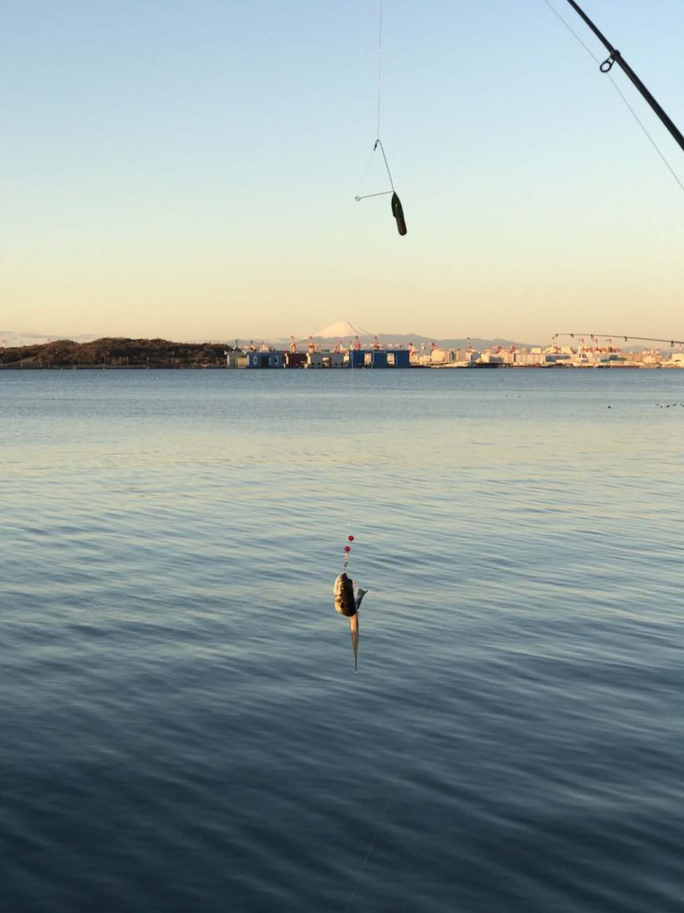 2020年1月2日若洲海浜公園初釣行の釣果ハゼとフグ