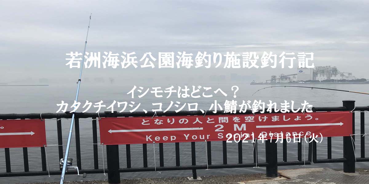 若洲海浜公園海釣り施設釣行記「イシモチはどこへ？カタクチイワシ、コノシロ、小鯖が釣れました」２０２１年７月６日（火）
